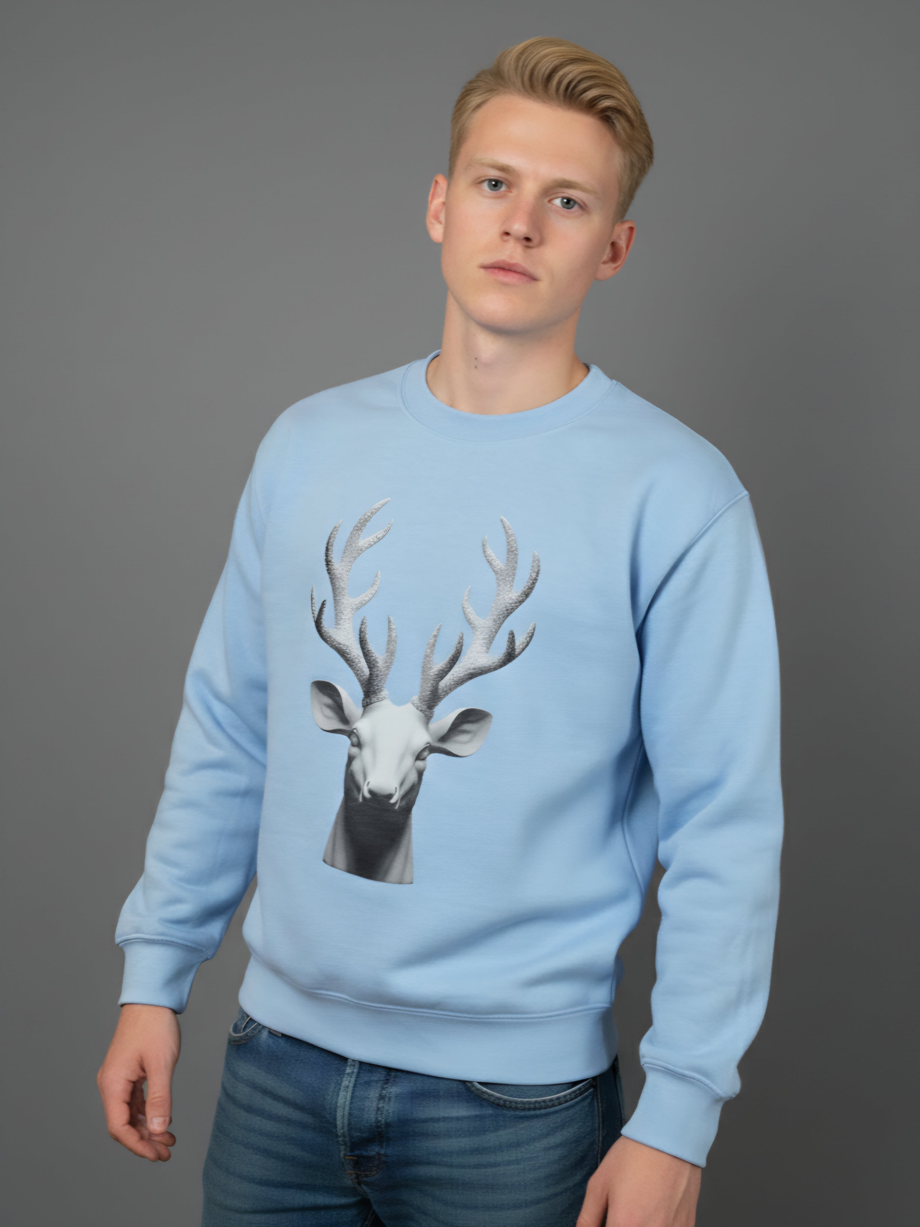 "VAALLAN’s Reindeer" Men Sky Blue Sweatshirt Streetwear Casual Wear Evening Top