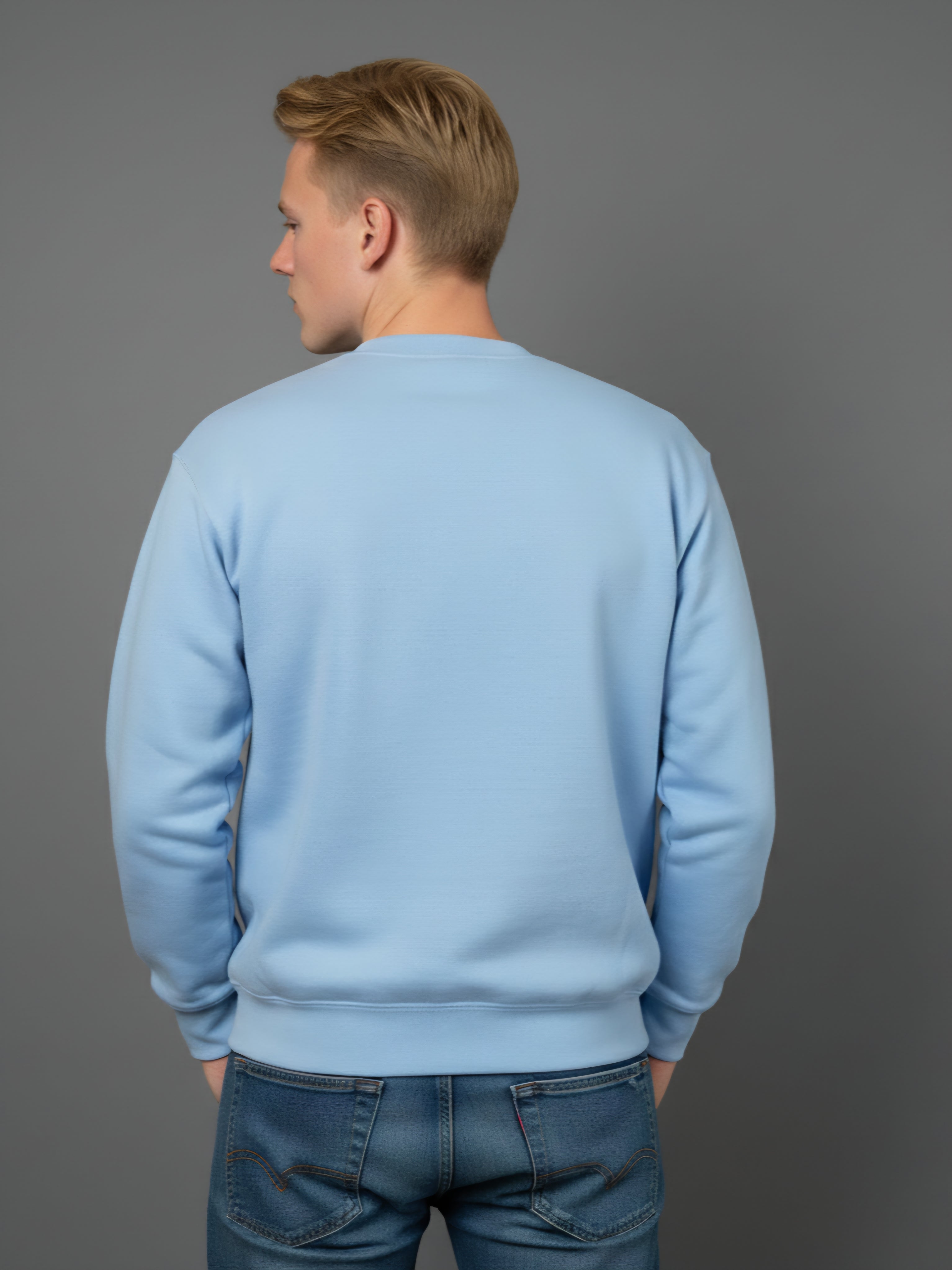 "VAALLAN’s Reindeer" Men Sky Blue Sweatshirt Streetwear Casual Wear Evening Top